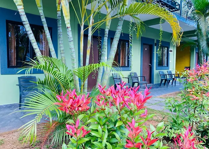 The Paramount Lodge